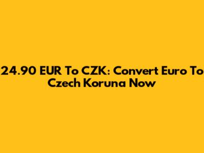 24.90 EUR To CZK: Convert Euro To Czech Koruna Now