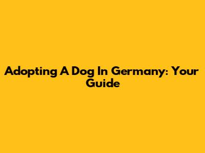 Adopting A Dog In Germany: Your Guide