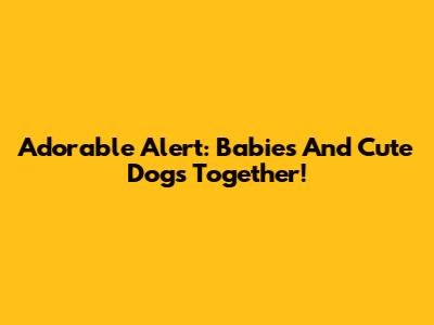 Adorable Alert: Babies And Cute Dogs Together!
