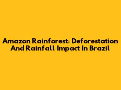 Amazon Rainforest: Deforestation And Rainfall Impact In Brazil