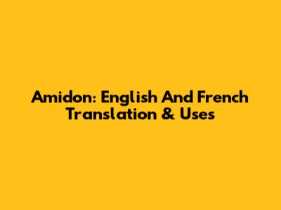 Amidon: English And French Translation & Uses