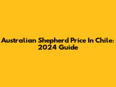 Australian Shepherd Price In Chile: 2024 Guide