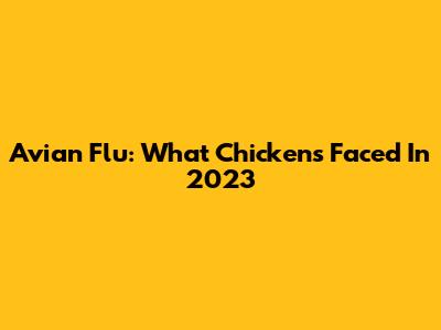 Avian Flu: What Chickens Faced In 2023