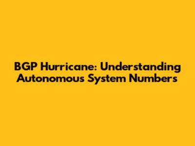 BGP Hurricane: Understanding Autonomous System Numbers