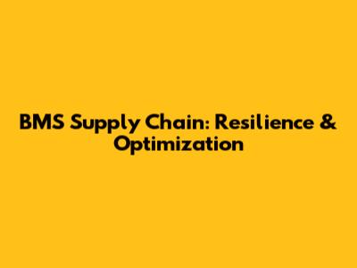 BMS Supply Chain: Resilience & Optimization
