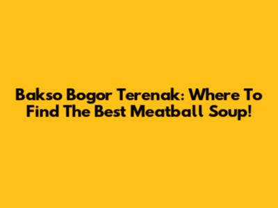 Bakso Bogor Terenak: Where To Find The Best Meatball Soup!