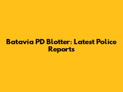 Batavia PD Blotter: Latest Police Reports