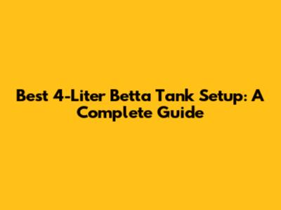 Best 4-Liter Betta Tank Setup: A Complete Guide
