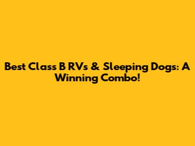 Best Class B RVs & Sleeping Dogs: A Winning Combo!