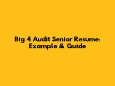 Big 4 Audit Senior Resume: Example & Guide