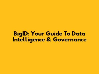 BigID: Your Guide To Data Intelligence & Governance