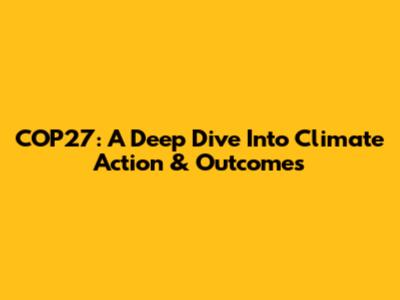 COP27: A Deep Dive Into Climate Action & Outcomes