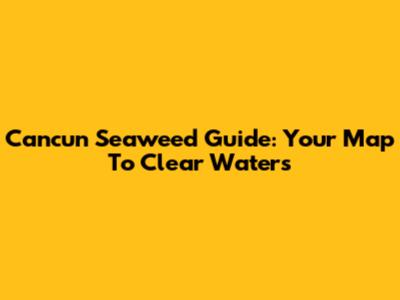 Cancun Seaweed Guide: Your Map To Clear Waters