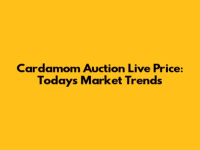 Cardamom Auction Live Price: Today's Market Trends