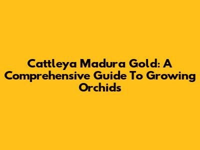 Cattleya Madura Gold: A Comprehensive Guide To Growing Orchids