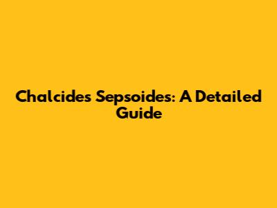 Chalcides Sepsoides: A Detailed Guide
