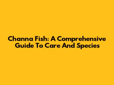 Channa Fish: A Comprehensive Guide To Care And Species