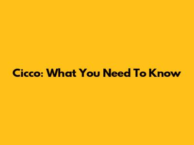 Cicco: What You Need To Know
