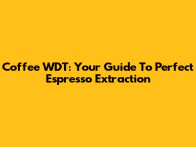 Coffee WDT: Your Guide To Perfect Espresso Extraction