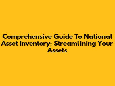 Comprehensive Guide To National Asset Inventory: Streamlining Your Assets
