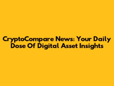 CryptoCompare News: Your Daily Dose Of Digital Asset Insights