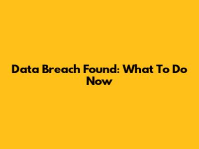 Data Breach Found: What To Do Now