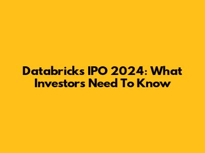 Databricks IPO 2024: What Investors Need To Know