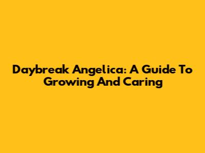 Daybreak Angelica: A Guide To Growing And Caring