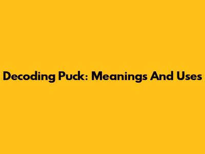 Decoding 'Puck': Meanings And Uses