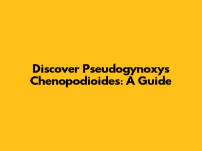 Discover Pseudogynoxys Chenopodioides: A Guide