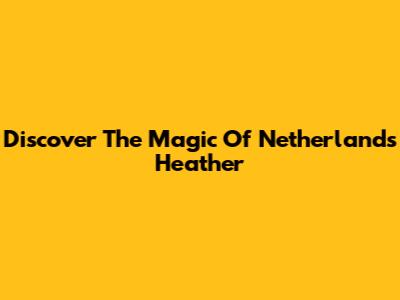Discover The Magic Of Netherlands Heather