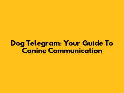 Dog Telegram: Your Guide To Canine Communication
