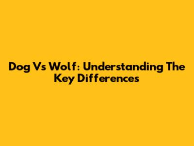 Dog Vs Wolf: Understanding The Key Differences