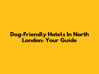 Dog-Friendly Hotels In North London: Your Guide