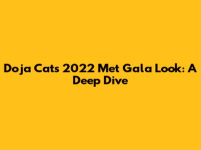 Doja Cat's 2022 Met Gala Look: A Deep Dive