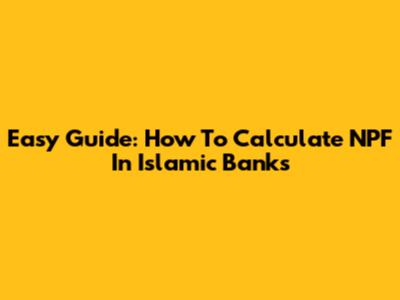 Easy Guide: How To Calculate NPF In Islamic Banks