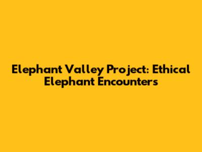 Elephant Valley Project: Ethical Elephant Encounters