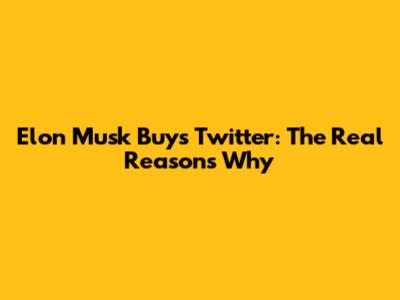 Elon Musk Buys Twitter: The Real Reasons Why