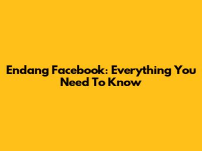 Endang Facebook: Everything You Need To Know