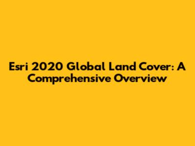 Esri 2020 Global Land Cover: A Comprehensive Overview