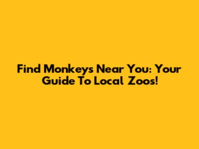 Find Monkeys Near You: Your Guide To Local Zoos!