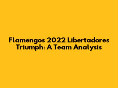 Flamengo's 2022 Libertadores Triumph: A Team Analysis