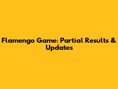 Flamengo Game: Partial Results & Updates