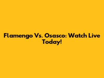 Flamengo Vs. Osasco: Watch Live Today!