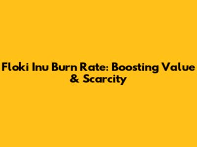 Floki Inu Burn Rate: Boosting Value & Scarcity