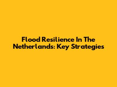 Flood Resilience In The Netherlands: Key Strategies