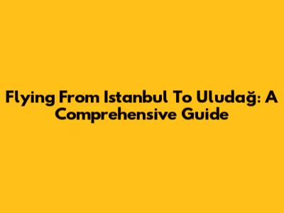 Flying From Istanbul To Uludağ: A Comprehensive Guide