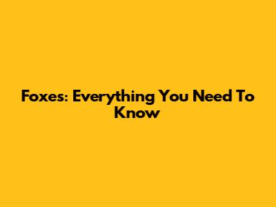 Foxes: Everything You Need To Know