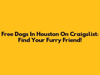 Free Dogs In Houston On Craigslist: Find Your Furry Friend!