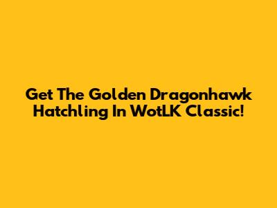 Get The Golden Dragonhawk Hatchling In WotLK Classic!